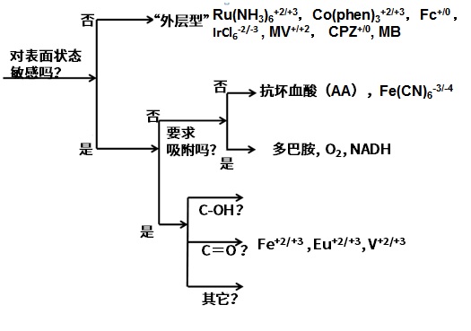  玻碳电极的表面状态特性及其表征