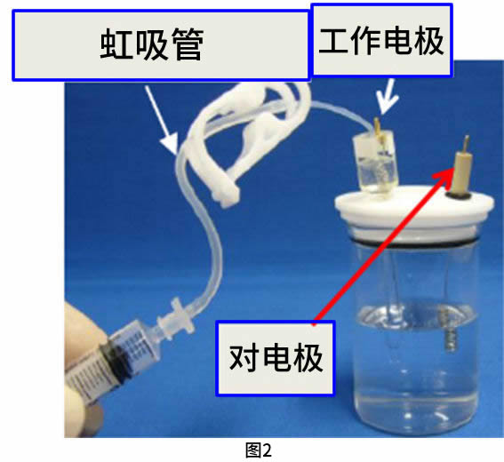 Fig.1 RHE电极制备