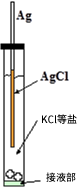 图2-1 Ag/AgCl 电极的构成示意图