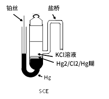 甘汞参比电极
